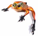 Frogman - Tim Cotterill Wildlife Art Diego (EV)